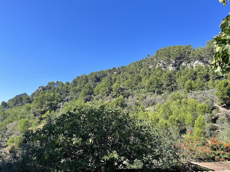 Agroturismo Alfabia Nou photo 9