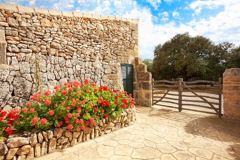 Agroturismo Puig de Ros d'Alt photo 8