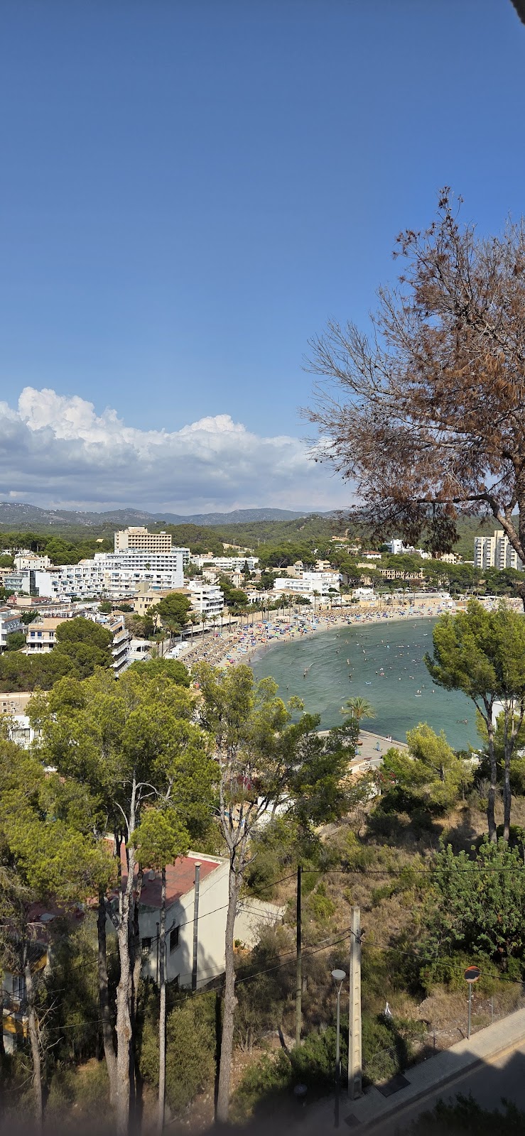 Aldea II Cala Fornells photo 10