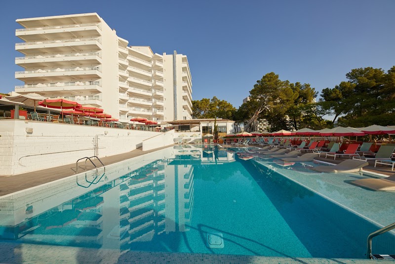 Alua Calvia Mallorca photo 7
