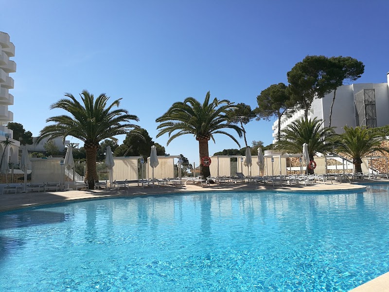 Alua Mallorca Resort photo 8