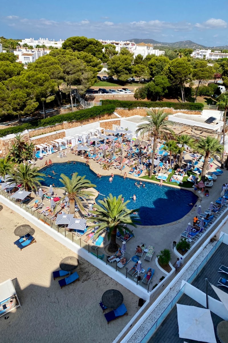 Alua Mallorca Resort photo 9