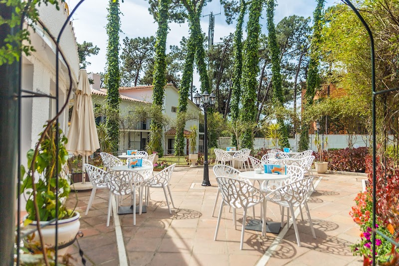 Alua Marbella Park photo 8