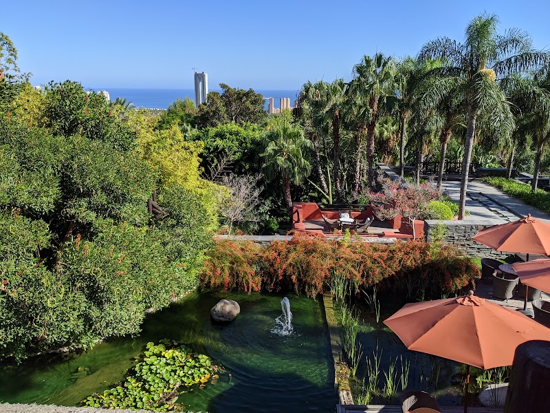 Asia Gardens Hotel & Thai Spa, a Royal Hideaway Hotel photo 7