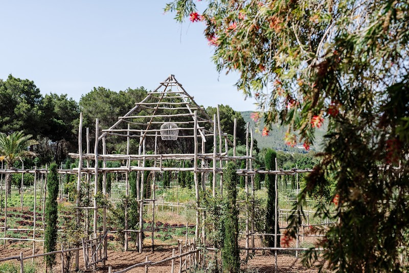 Agroturismo Atzaro Ibiza photo 6