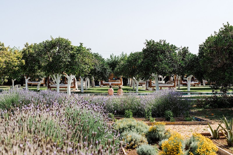Agroturismo Atzaro Ibiza photo 10