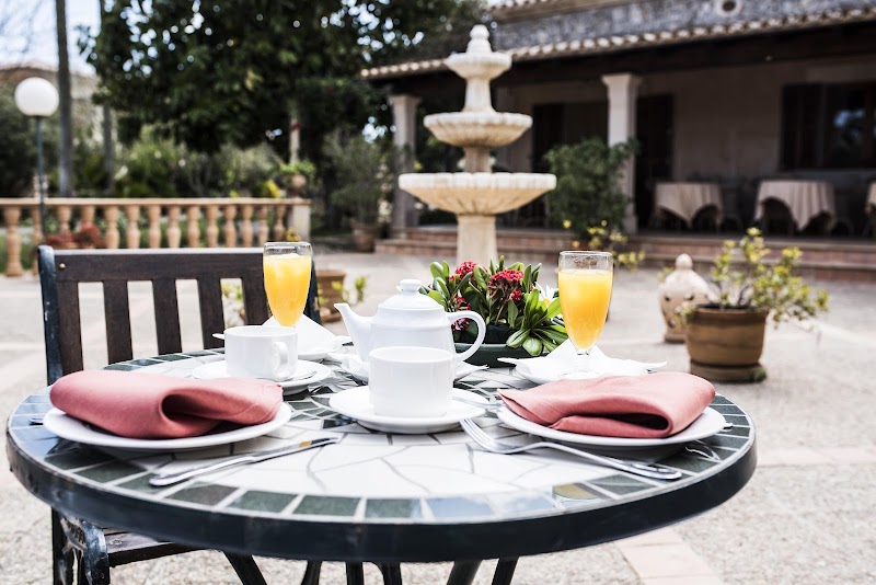 Aumallia Hotel & Spa photo 8