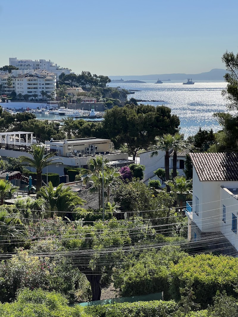 azuLine Hotel Palmanova Garden
