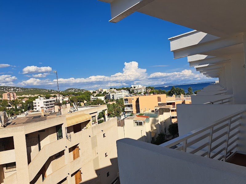 azuLine Hotel Palmanova Garden photo 8