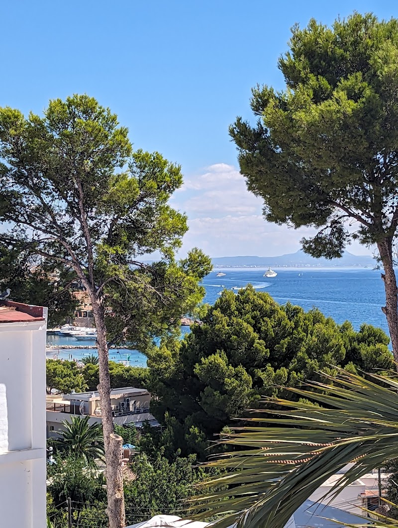 azuLine Hotel Palmanova Garden photo 10