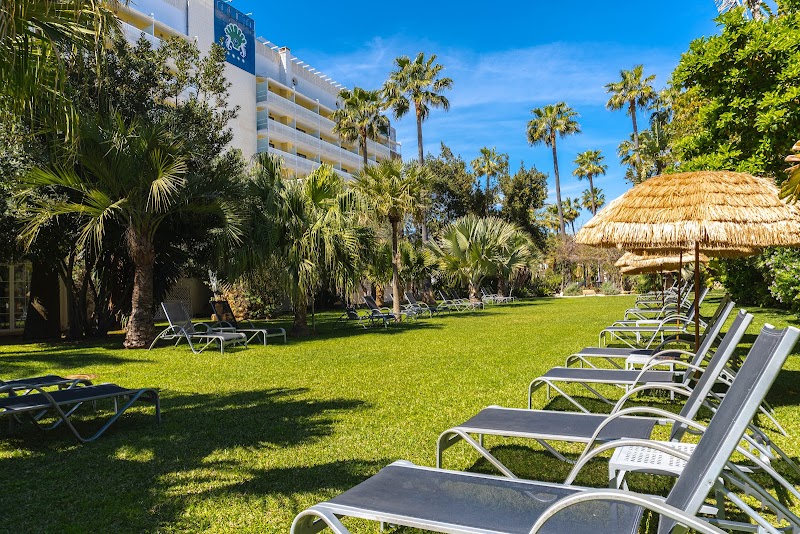 Bahia De Alcudia Hotel & Spa photo 8