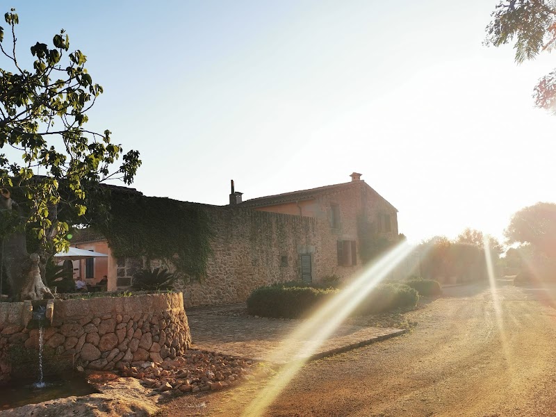 Bennoc Petit Hotel photo 7