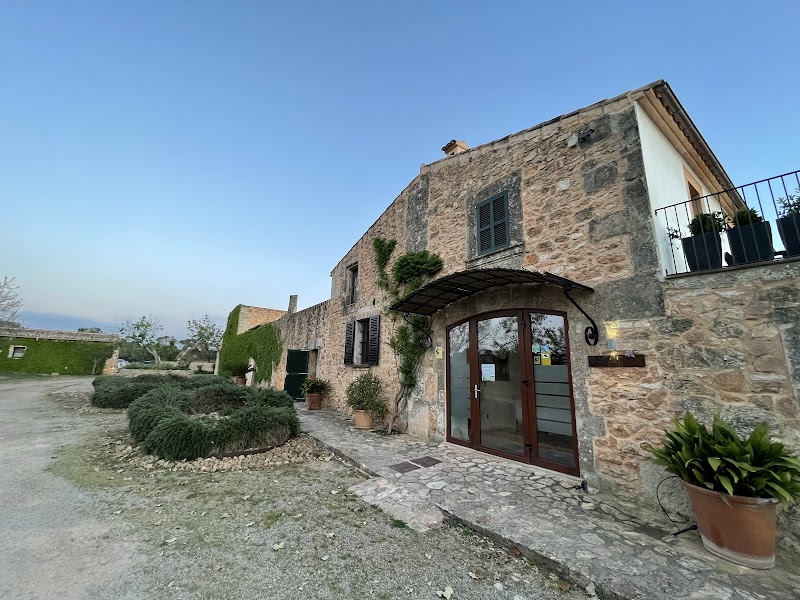 Bennoc Petit Hotel photo 10