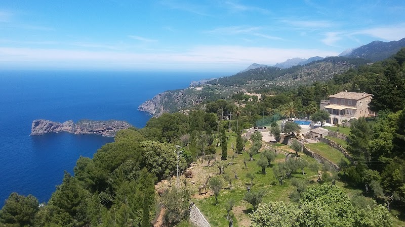 Bordoy Continental Valldemossa photo 6