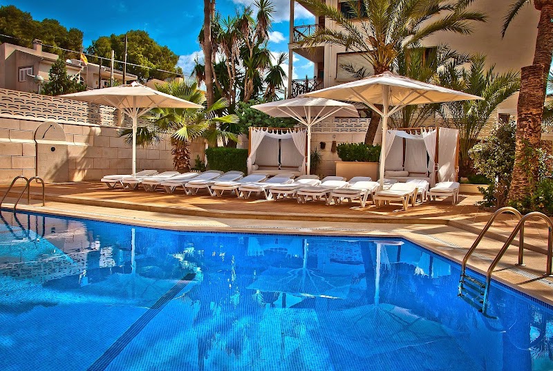 BQ Carmen Playa Hotel photo 3