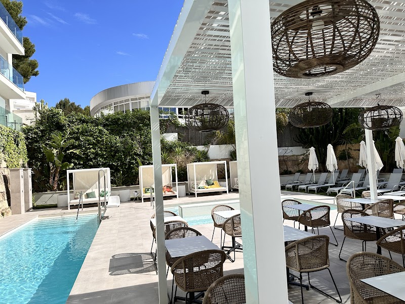 BQ Paguera Boutique Hotel photo 3
