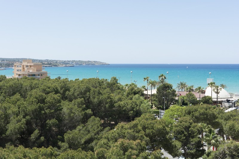 Cabot Tres Torres Apartments photo 10