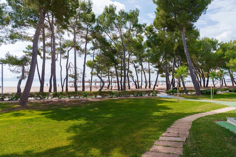 Caprice Playa de Alcudia photo 6