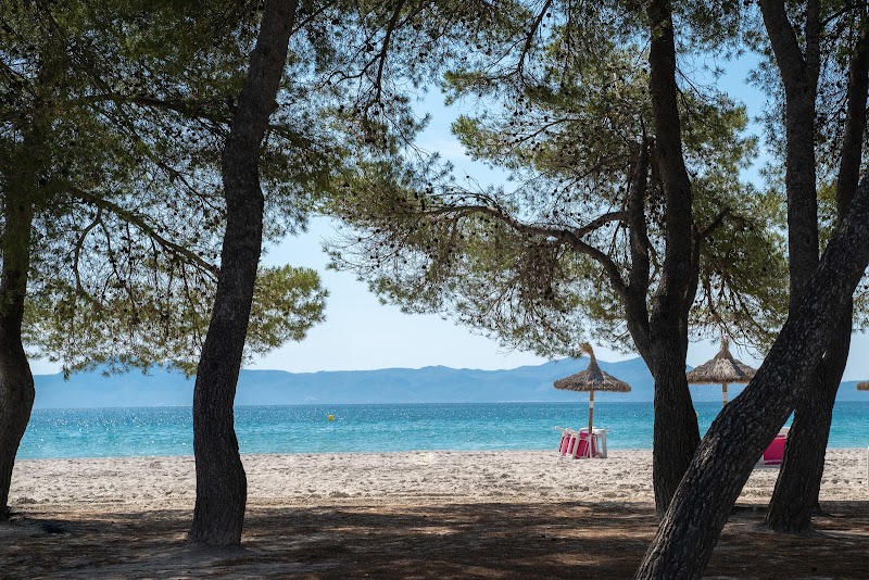 Caprice Playa de Alcudia photo 8