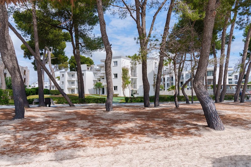 Caprice Playa de Alcudia photo 9