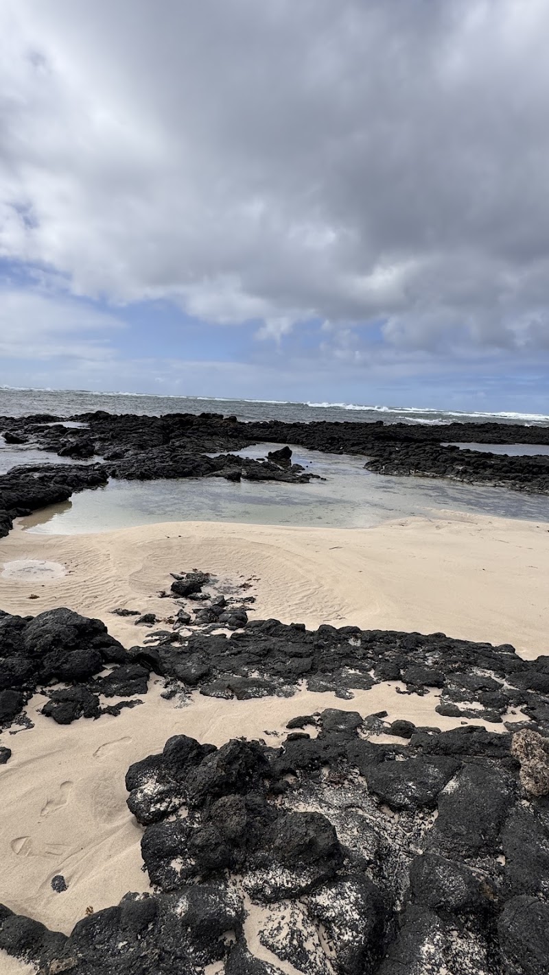 Coral Cotillo Reef photo 3