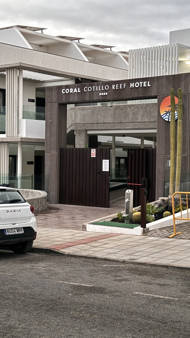 Coral Cotillo Reef photo 9