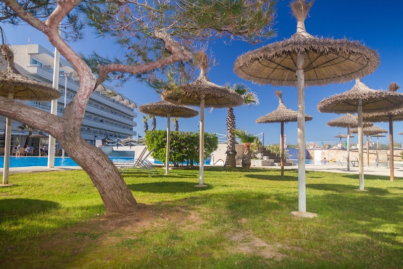 Eix Platja Daurada Hotel & Spa photo 6
