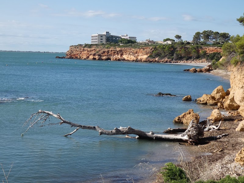 Fergus Cap Roig photo 10