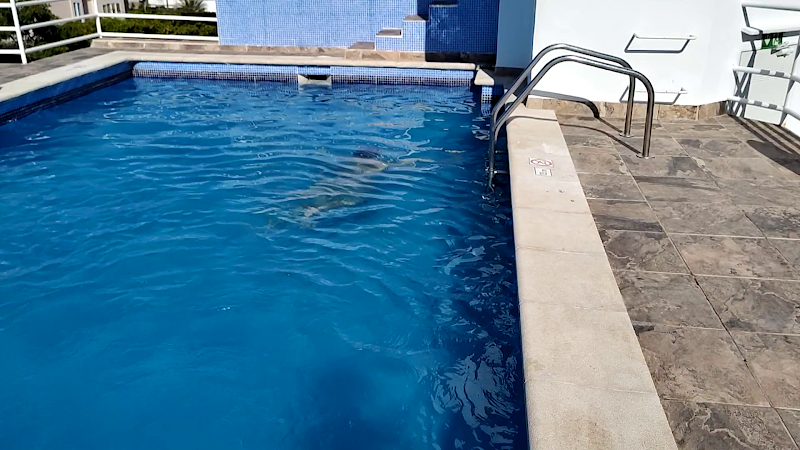 Gomila Palma Apartments photo 3