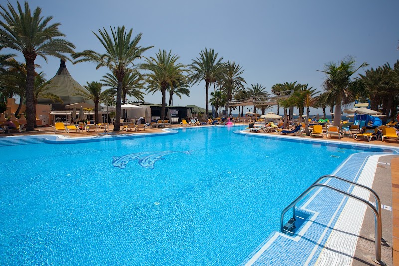 Grupotel Orquidea photo 10