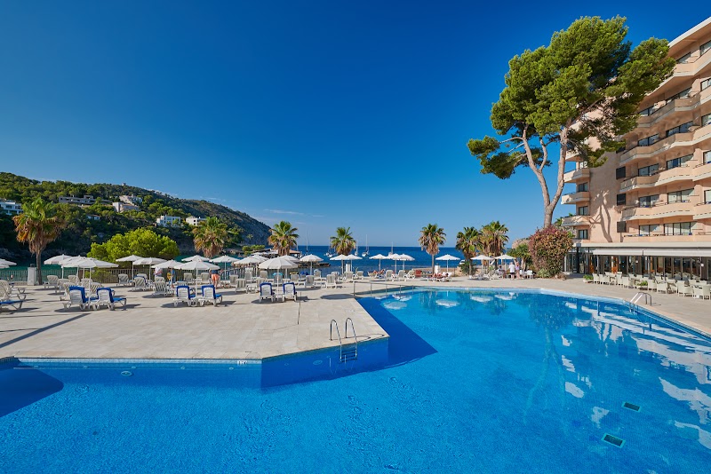 Grupotel Playa Camp de Mar photo 3