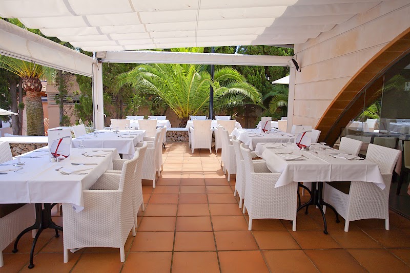 Hipotels Mediterraneo Club photo 9