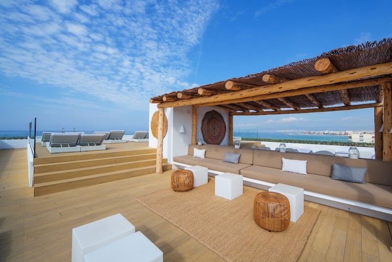 HM Tropical photo 8