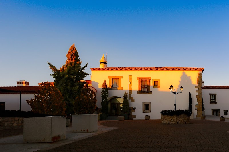 Hospes Palacio de Arenales & Spa photo 10