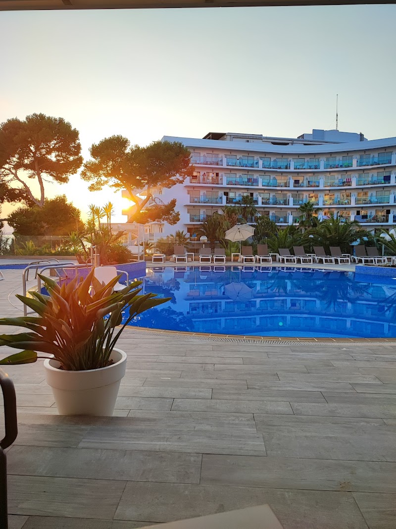 Hotel Best Punta Dorada photo 3