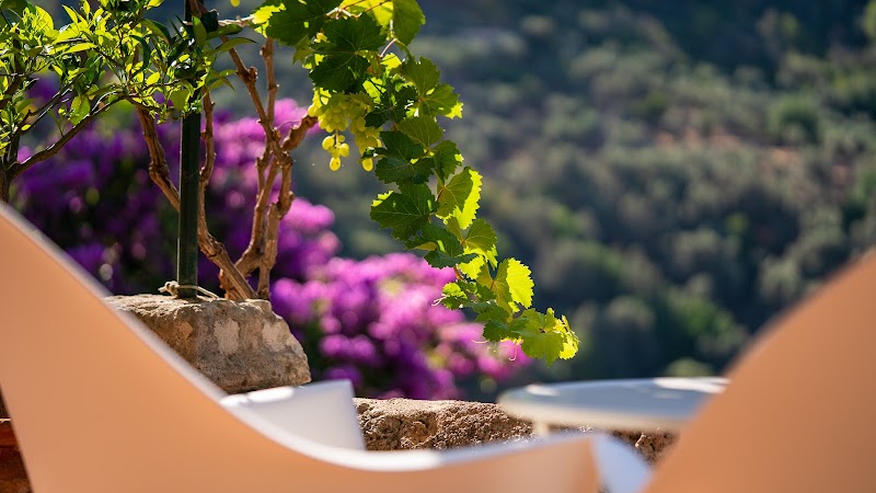 Hotel Can Verdera photo 7