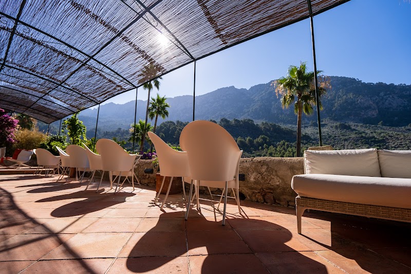 Hotel Can Verdera photo 8