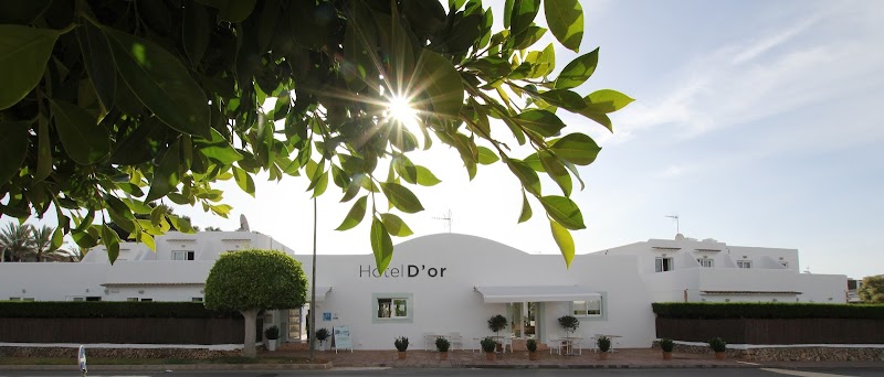 Hotel D'Or