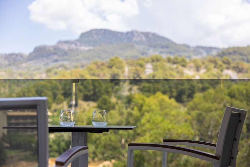 Hotel Eden Soller photo 10