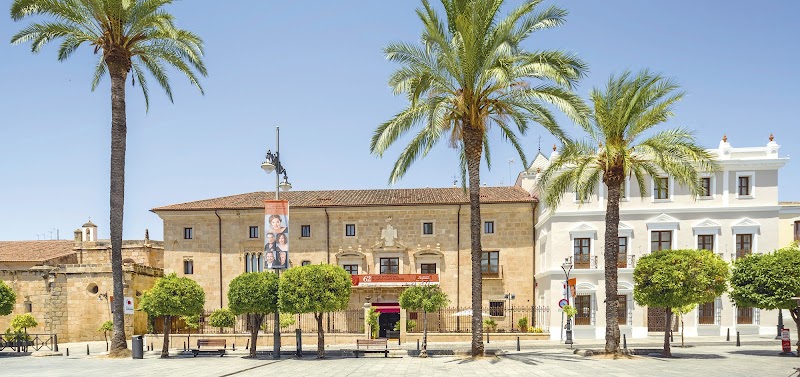 Hotel ILUNION Merida Palace photo 9