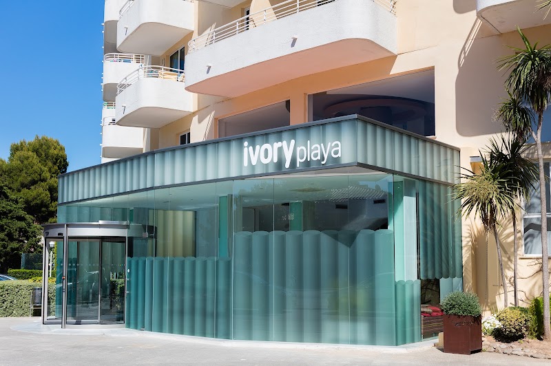 Hotel Ivory Playa photo 7