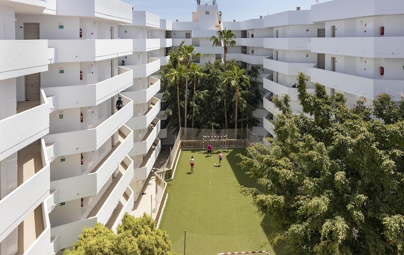 Hotel Palia Sa Coma Playa photo 6