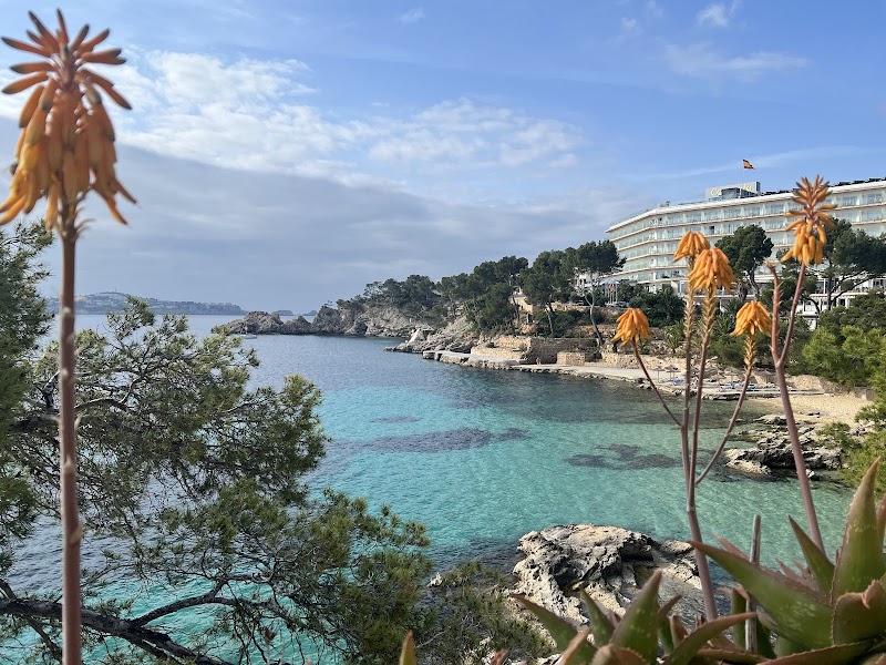 Hotel Petit Cala Fornells photo 10