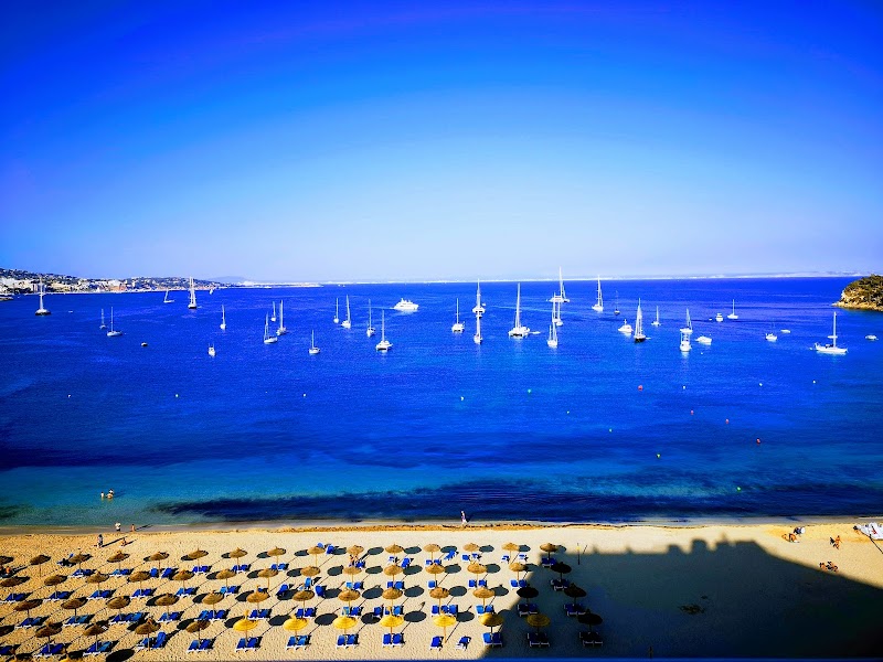 Hotel Son Matias Beach photo 10