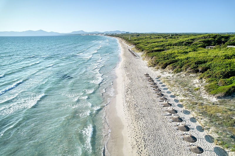 Iberostar Selection Albufera Playa photo 6