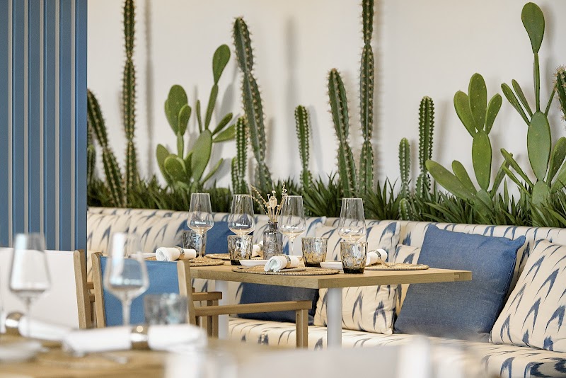 Iberostar Selection Es Trenc photo 9