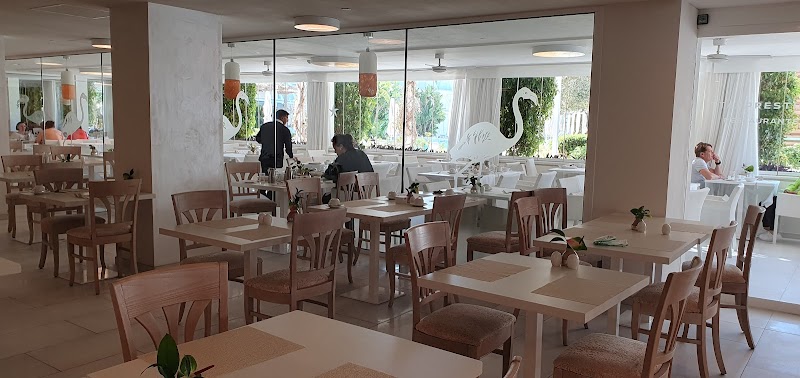 Iberostar Selection Playa de Palma photo 5