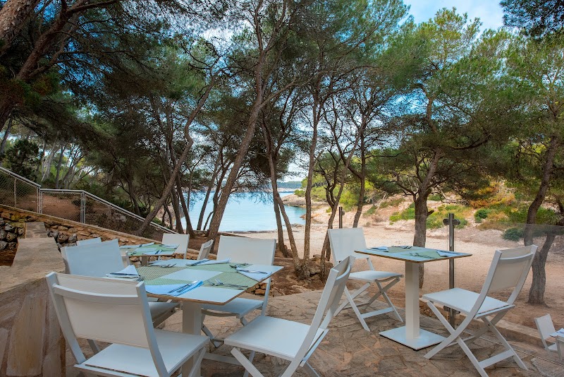 Iberostar Waves Club Cala Barca photo 7