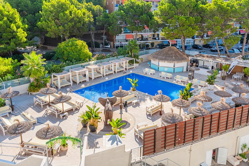 Inn Mallorca Aparthotel photo 5