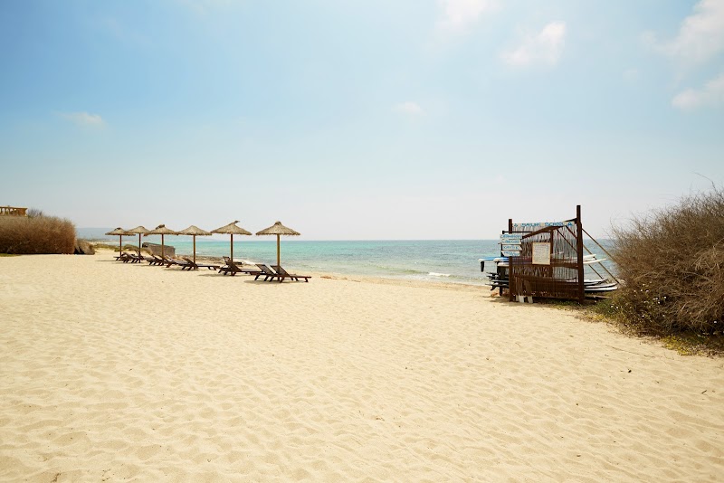 Insotel Hotel Formentera Playa photo 9